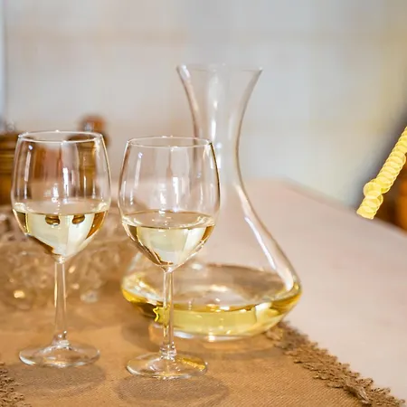 Constantino Traditional Retreat - 19th Century Holiday home Foinikion